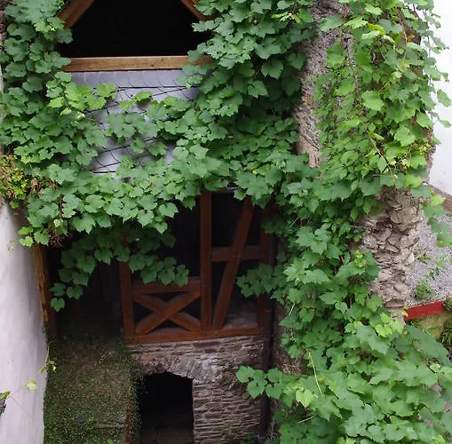 Apartment Ad Monte Cochem